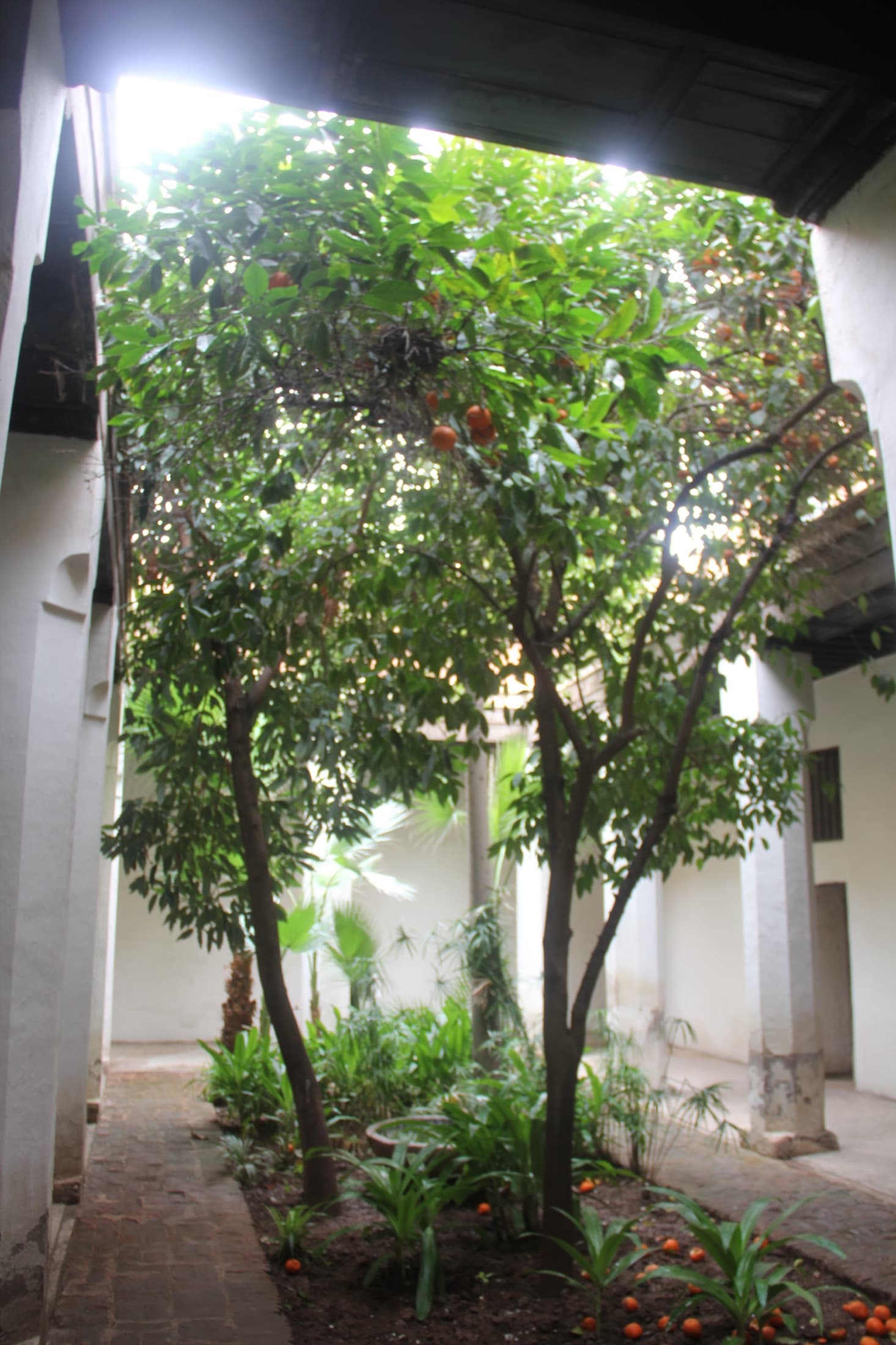 Riad-Garten des Museums Dar Si Said